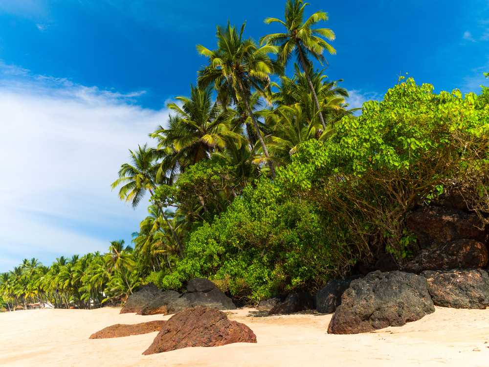A golden beach backed by rocks and lush bush and palms.